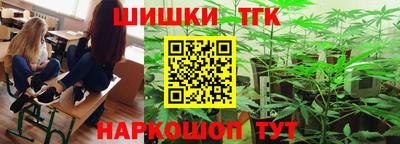 дмт Заводоуковск