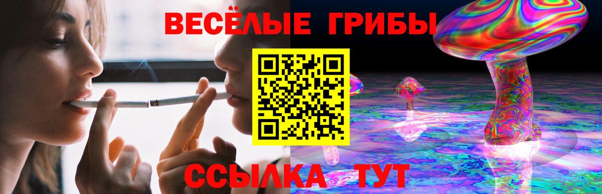Галлюциногенные грибы Cubensis  Вход с VPN  Галлюциногенные грибы GOLDEN TEACHER  Кунгур 