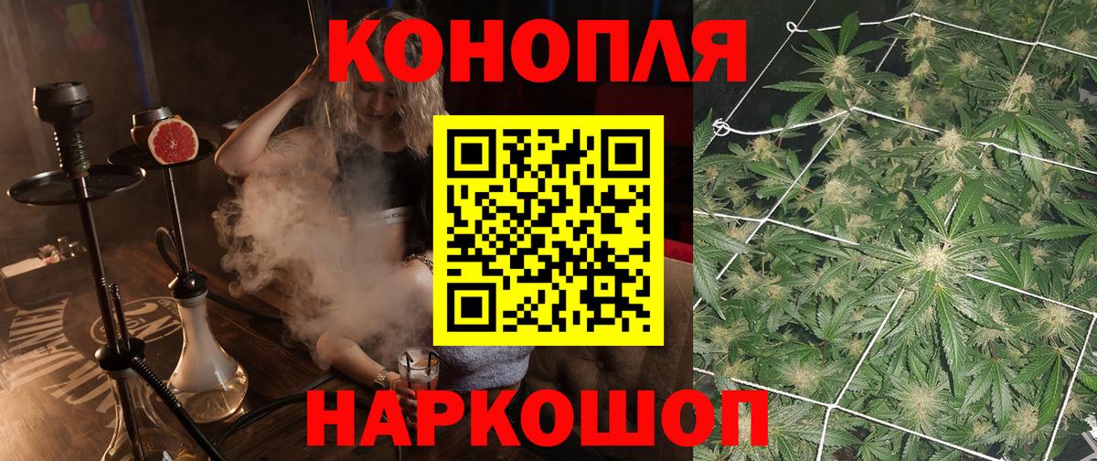МАРИХУАНА гибрид Кунгур